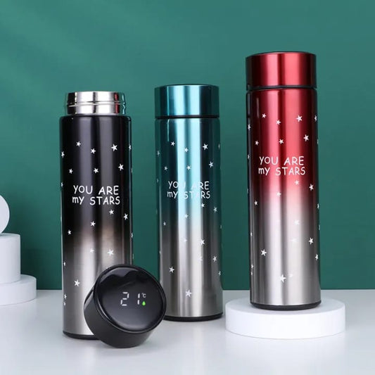 led temperature display water bottle 