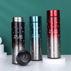 led temperature display water bottle 